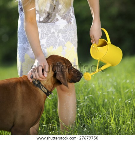 woman with dog and yellow watering can