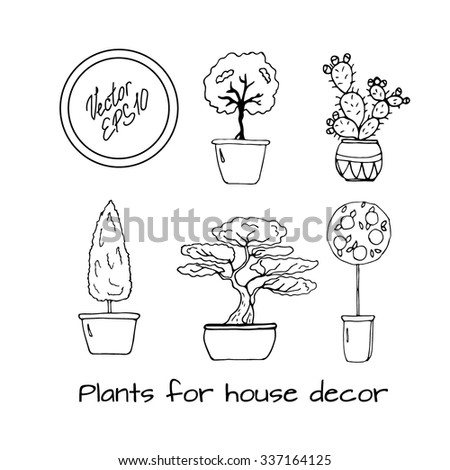 Hand drawn sketch of different plants in pot for street or home decoration: orange tree, cactus, thuja, asian bonsai tree. Vector illustration. funny kids style. 