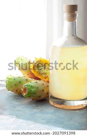 Prickly pear with cactus fruit Сток-фото © 