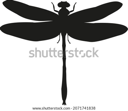 Dragonfly Outline | Free download on ClipArtMag