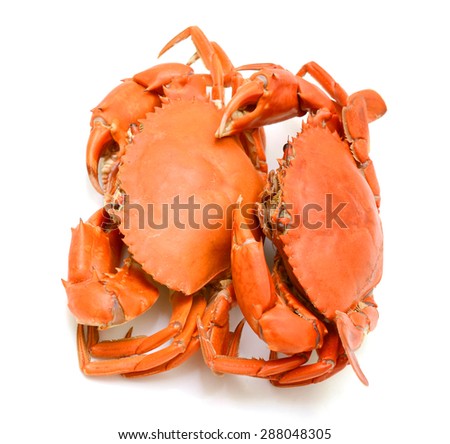 two Steamed crab in isolated on black background