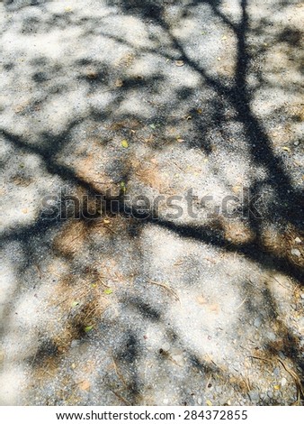 Blue shadow tree abstract lay on street, black and light wallpaper, vintage style.
