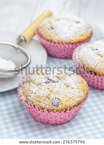 Homemade muffins with choco chips, decorated with sugar powder