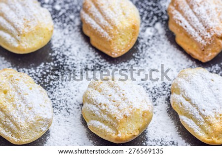 Sugar powdered madeleines on baking tray, closeup