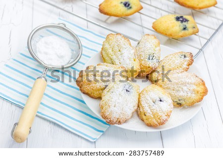 Sugar powdered madeleines with blueberries