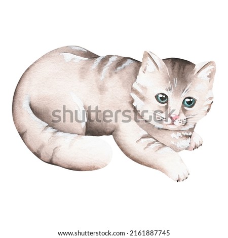 The kitten is lying on its belly. Watercolor illustration. Isolated on a white background. For your design greeting cards, baby products, veterinary clinic advertisements, stickers, pet products.