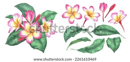 Similar – Image, Stock Photo Individual cosmetics flower in bloom in a vase in the shape of a metal jug