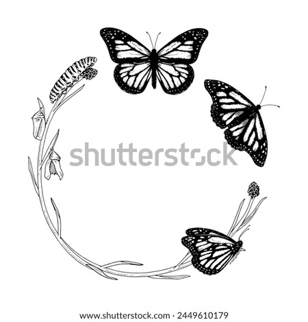 Butterfly Frame border Vector line art. Circle wreath drawing. Hand drawn of metamorphosis. Black outline illustration of flying insects. Nature life cycle transformation sketch. Background for text