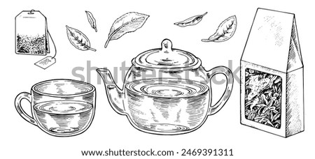 Tea Set Vector Outline Illustration. Hand drawn graphic clipart of cup with pot and leaves. Black line art of tea bag and cardboard box of dried herbal drink. Drawing on isolated white background