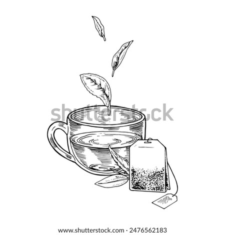 Tea Cup with leaves floating above it. Vector hand-drawn illustration. Glass mug with infuser bag sketch drawing. Black and white vintage art. With editable backgrounds. For cards and drink packaging