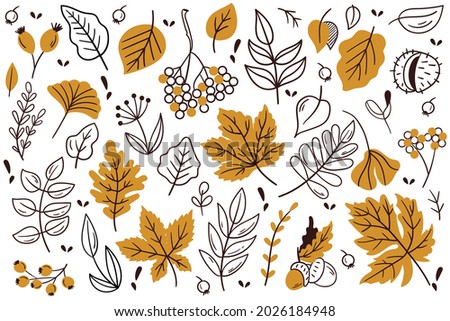 Autumn leaves and berries. Hand drawn autumn forest leaves set.