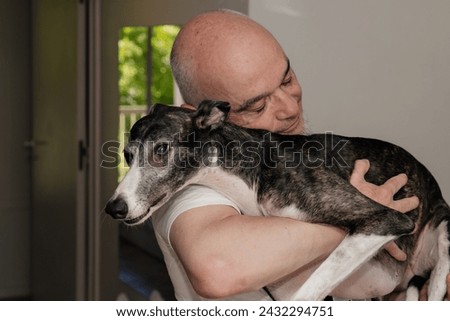 Similar – Foto Bild Windhund Hund 1 Tier