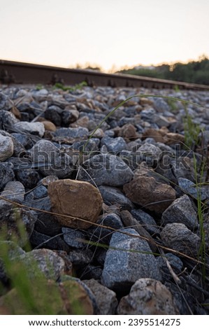 Similar – Image, Stock Photo Brandenburg Autumn II