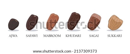 vector illustration of dates types. isolated on white background. perfect for education, catalogue, etc. Imagine de stoc © 