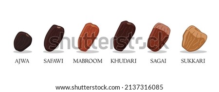 Illustration of dates types isolated on white background. perfect for education, catalogue, etc.  Imagine de stoc © 