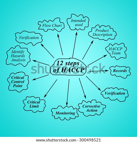 element of twelve step HACCP principle on green background  for used in manufacturing.