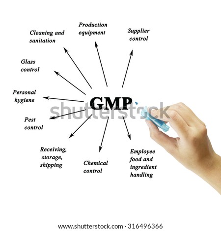 Women hand writing element of GMP on white background  for used in manufacturing.(Training and Presentation)