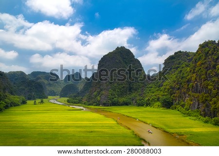 Rice field and river \