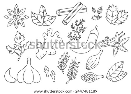 Set spices, condiments and herbs. Doodle Outline Line art collection icon, logo, stickers. Black and white. Vector flat illustration.