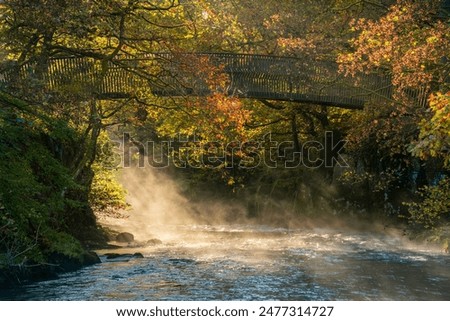 Similar – Image, Stock Photo Misty morning at the mountains