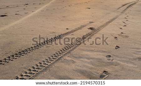 Similar – Image, Stock Photo Tire tracks in sand on beach