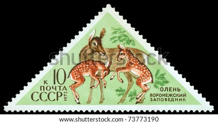 USSR - CIRCA 1973: A triangular stamp depicts a deer with her two fawns and is devoted to the Voronezh\'s reserve, circa 1973