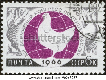 SOVIET UNION - CIRCA 1966: A stamp printed by the Soviet Union Post is devoted to the XIII World Congress on Aviculture, circa 1966