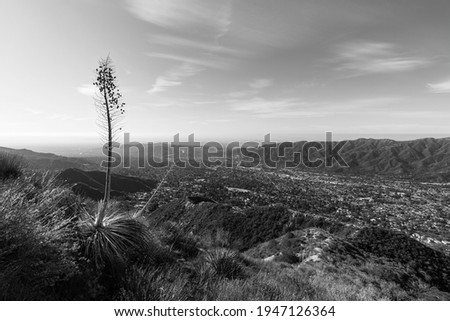 Shutterstock - PuzzlePix