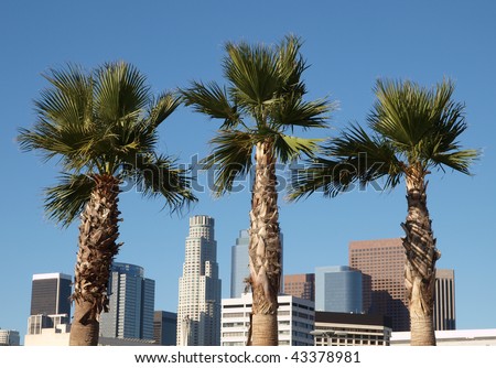 Palm trees and highrise office towers of downtown Los Angeles, California.