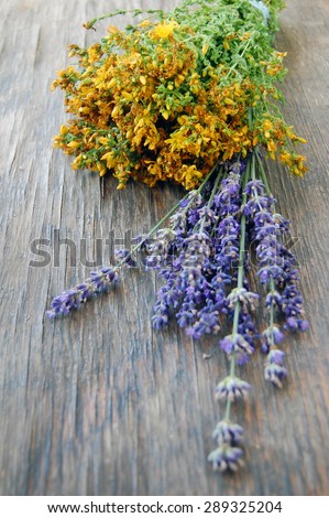background of lavender and St Johns wort on wooden table. Tutsan