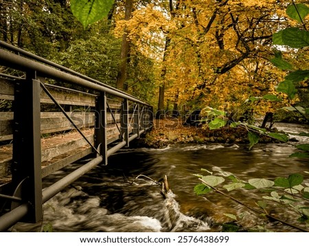 Similar – Image, Stock Photo foliage Footbridge