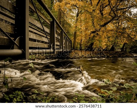 Similar – Image, Stock Photo foliage Footbridge