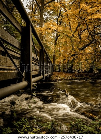 Similar – Image, Stock Photo foliage Footbridge