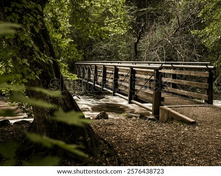 Similar – Image, Stock Photo foliage Footbridge