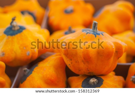 View of little pumpkins in the street market