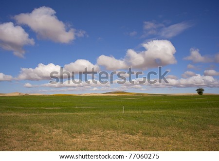 Rural scene in the countryside