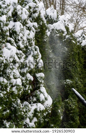 Similar – Image, Stock Photo Frozen tips Plant Hedge