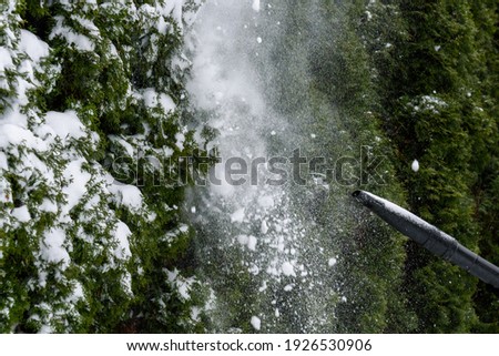 Image, Stock Photo Frozen tips Plant Hedge