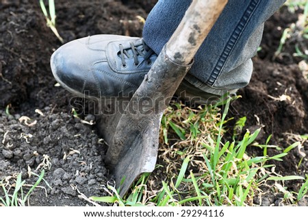Gardener digging with garden spade in black earth soil