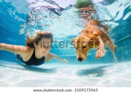 Similar – Image, Stock Photo underwater view of dog in the pool, fun and lifestyle at summer