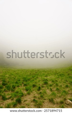 Similar – Image, Stock Photo Mountain peak with limited view over the Achensee in Tirol in Austria