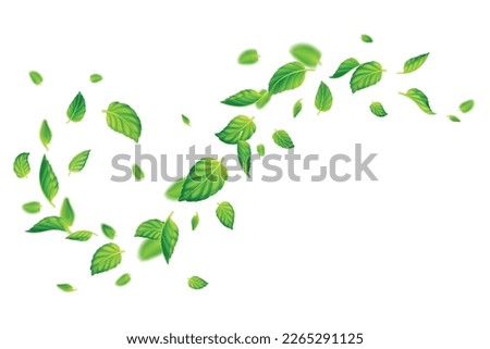 green mint leaves falling and flying in air vector 