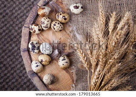 quail eggs and feathers on the aged wooden table
