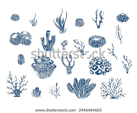 Coral reef and algae underwater plants vector. Aquarium, ocean and underwater algae, water life isolated on white background. Coral doodle set