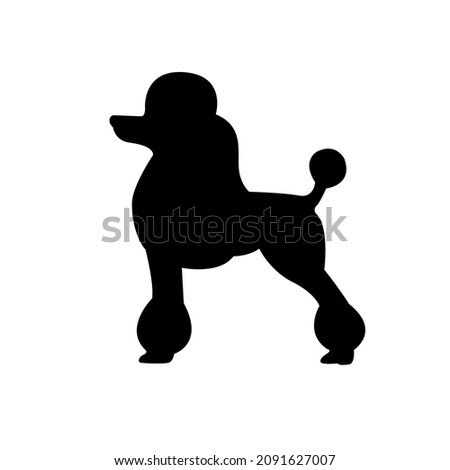 Vector silhouette in black color poodle dog