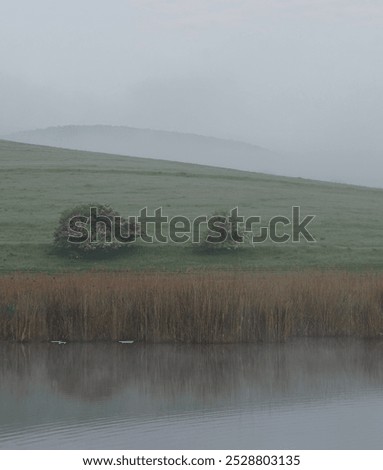 Similar – Image, Stock Photo Thick fog over the Flückigersee in the lake park Freiburg im Breisgau. The temple is reflected in the calm water of the lake.