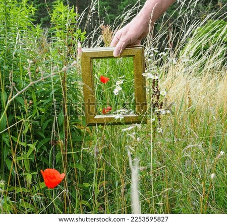 Similar – Image, Stock Photo spring meadow Masculine