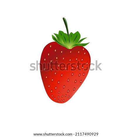 vector illustration, red strawberry isolated on a white background