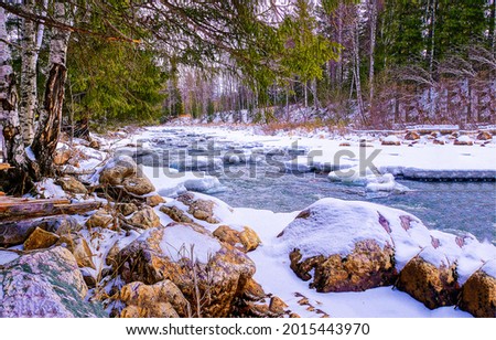 Rocky river bank in the snow. Winter forest river snow. Snowy river in winter forest. Winter forest river snow
