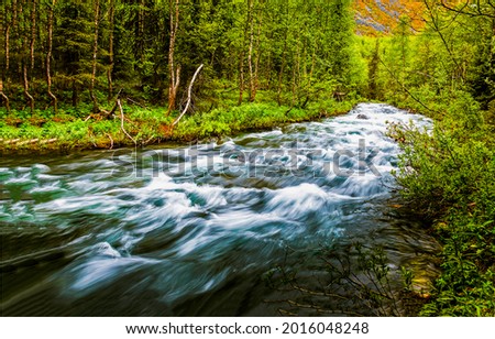 Fast river flow in the forest. The river descends rapidly. The river current were too strong. Flow of the river